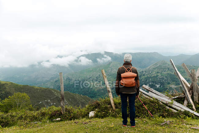 Vista posterior de una anciana anónima con mochila de pie en la ladera cubierta de hierba hacia el pico de la montaña durante el viaje en la naturaleza - foto de stock