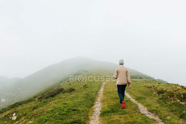 Вид ззаду анонімної літньої жінки-мандрівки з коротким сірим волоссям, що йде поблизу пагорба вдень у природі — стокове фото