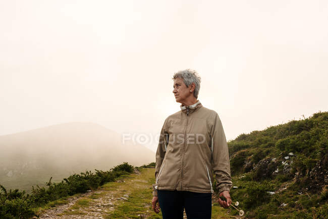 Voyageuse âgée avec les cheveux gris courts regardant loin et marchant sur le chemin près de la colline pendant la journée dans la nature — Photo de stock