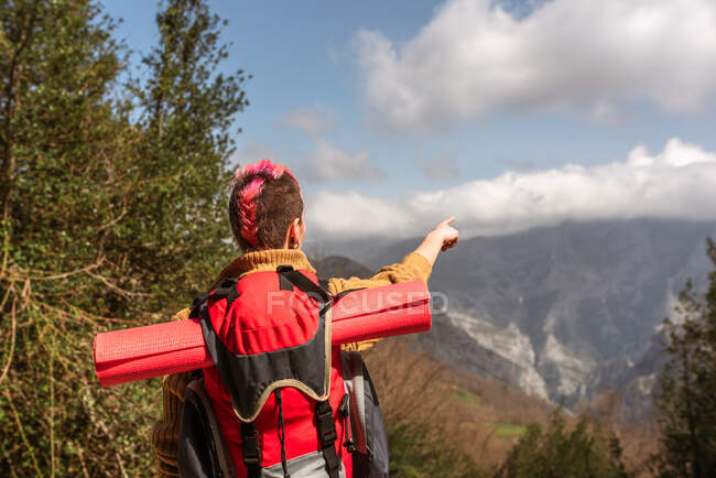 Обратный вид восхитительной путешественницы с рюкзаком, стоящим в горах и указывающим на — стоковое фото