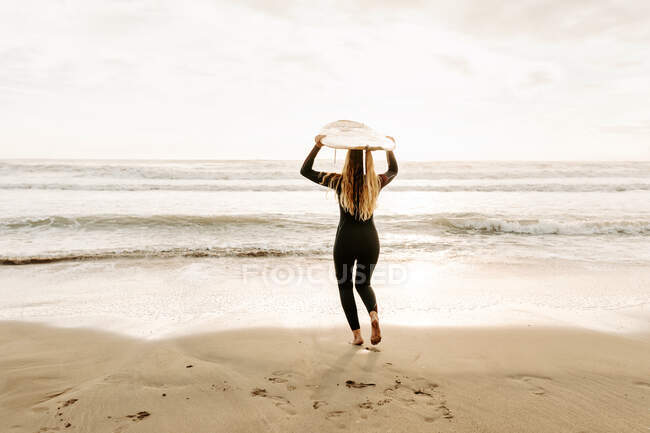 Vista posterior de una surfista irreconocible vestida con traje de neopreno caminando mientras sostiene la tabla de surf en la cabeza en la playa durante el amanecer en el fondo - foto de stock