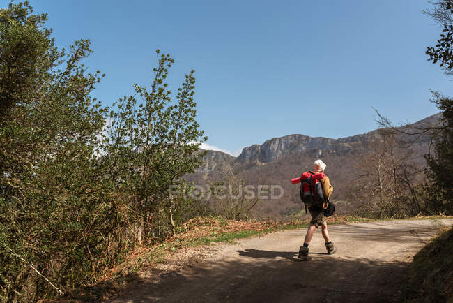 Вид ззаду дослідника з рюкзаком, що йде по піщаній дорозі, що веде до високогір'я в сонячний день — стокове фото