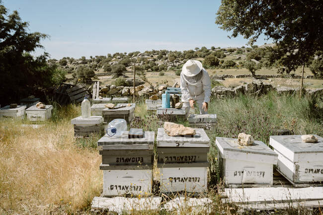 Apicultor irreconocible en desgaste protector que inspecciona colmenas de madera mientras trabaja con abejas en el día de verano en el colmenar - foto de stock