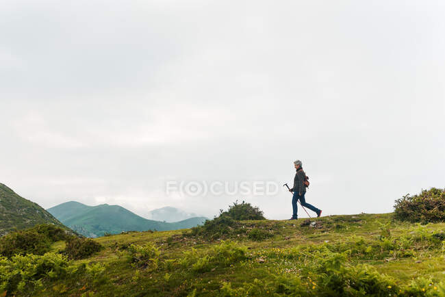 Vista laterale della donna anziana con zaino e bastone da passeggio passeggiando sul pendio erboso verso la vetta della montagna durante il viaggio nella natura — Foto stock