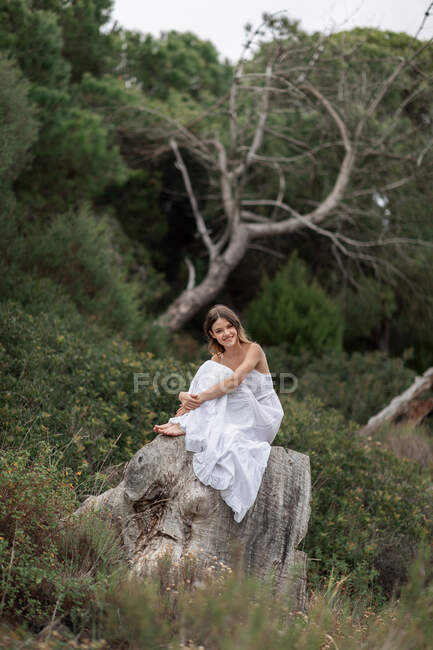 Heitere Frau in elegantem weißen Kleid sitzt auf Baumstumpf im Wald und umarmt Knie, während sie die Natur genießt und in die Kamera schaut — Stockfoto