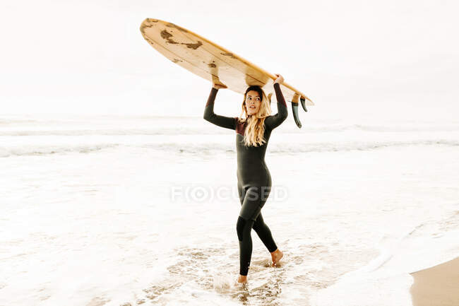 Side view of female surfer dressed in wetsuit walking away while holding surfboard on head on the beach during sunrise in the background — стоковое фото
