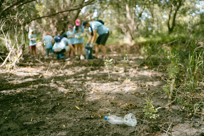 Команда невпізнаваних активістів збирає з землі пластиковий сміття, беручи участь у екологічній кампанії в літньому лісі — стокове фото