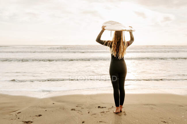 Vista posterior de una surfista irreconocible vestida con traje de neopreno de pie mientras sostiene la tabla de surf en la cabeza en la playa durante el amanecer en el fondo - foto de stock