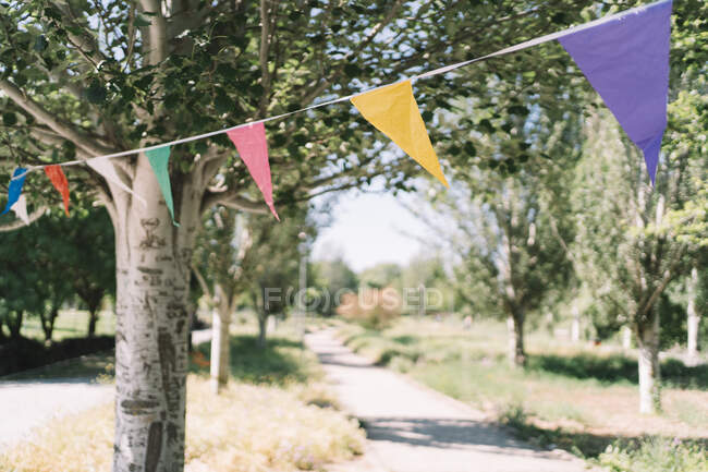 Bandeiras triangulares multicoloridas penduradas na corda no parque verde durante o evento no dia ensolarado de verão — Fotografia de Stock