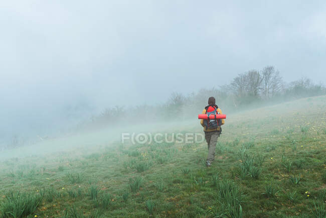 Back view of anonymous explorer with backpack walking across blooming meadow in misty morning — Stock Photo