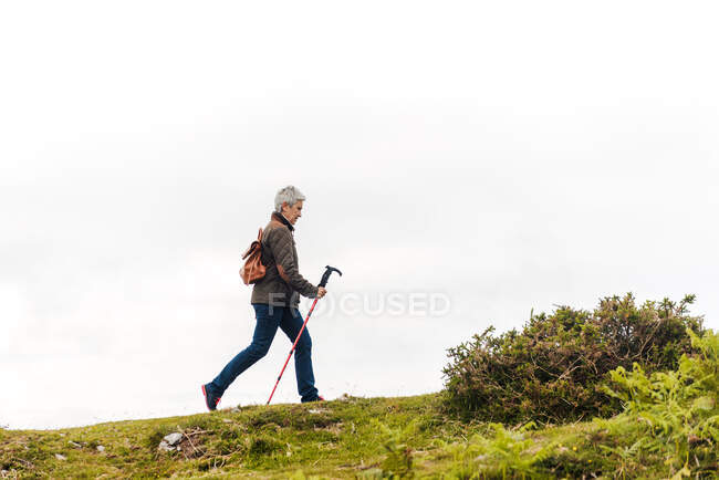 Seitenansicht einer älteren Frau mit Rucksack und Spazierstock, die auf dem Grashang in Richtung Berggipfel spaziert, während sie in der Natur unterwegs ist — Stockfoto
