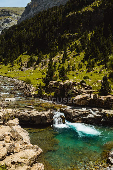 Rápidos de piedra del río de montaña cerca del bosque que crece en la colina en verano - foto de stock