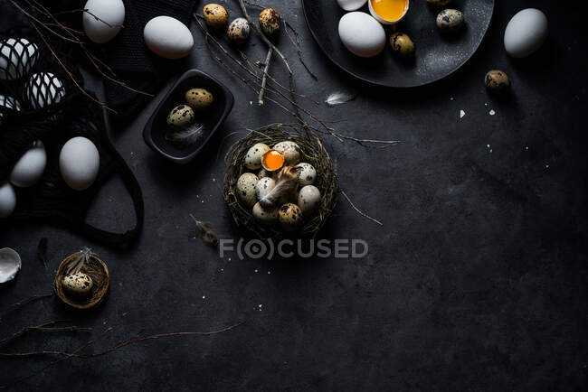 Von oben Zusammensetzung von rohen Hühnereiern auf Tellern und Wachteleiern im Nest auf schwarzem Hintergrund — Stockfoto