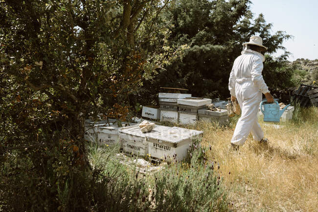 Unerkennbarer Imker beim Spazierengehen in der Nähe von Bienenkästen aus Holz und mit Wasserkanistern, die Flüssigkeit in Bienenkästen aus Holz gießen, während er an Sommertagen im Bienenhaus arbeitet — Stockfoto