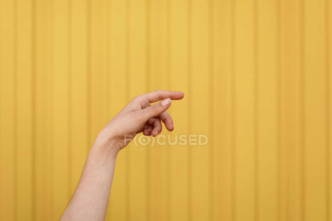 Crop peaceful relaxed female raising hand while enjoying summer day in yellow background — Stock Photo
