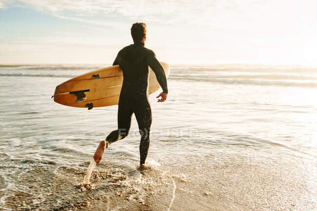 Обратный вид на неузнаваемого серфера, одетого в гидрокостюм, идущего с доской для серфинга к воде, чтобы поймать волну на пляже во время восхода солнца — стоковое фото