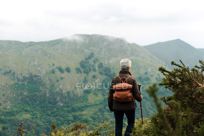 Back view of anonymous elderly woman with backpack and walking stick strolling on grassy slope towards mountain peak during trip in nature — Stock Photo