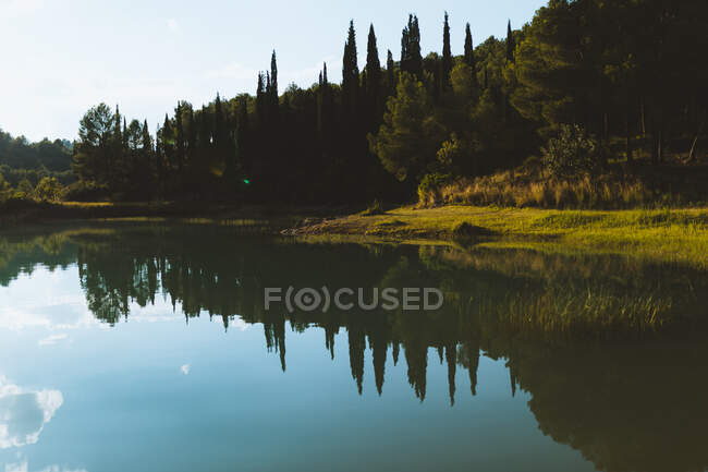Удивительный пейзаж озера со спокойной водой, расположенного рядом с вечнозелеными растениями в солнечный день на пляжах Италии — стоковое фото