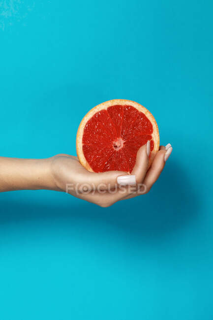 Cultivo anónimo hembra con manicura sosteniendo la mitad de pomelo jugoso fresco con pulpa roja sobre fondo azul - foto de stock
