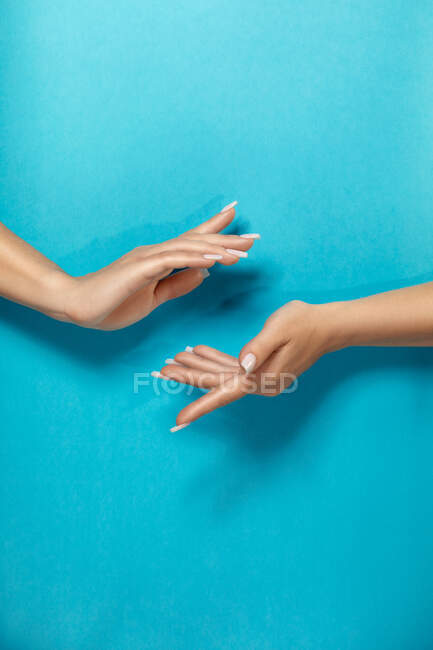 Crop mulher anônima de mãos dadas com manicure perfeito graciosamente contra fundo azul brilhante — Fotografia de Stock