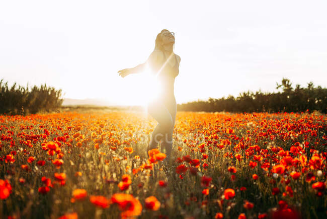 Счастливая женщина стоит на поле с красными цветами в солнечный день — стоковое фото