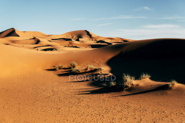 Von oben eine bunte, leere Wüste mit großen Dünen unter wolkenlosem blauen Himmel in Marokko — Stockfoto