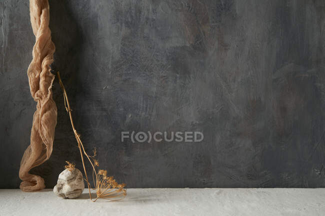 Камінь і шматок тканини з сушеною рослиною на бежевому і сірому фоні — стокове фото