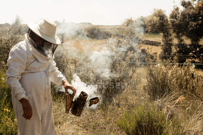 Beekeeper in protective uniform and hat using smoker while checking bees in apiary in summer day — Stock Photo