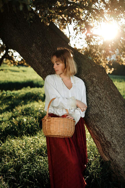 Young female in old fashioned white blouse and skirt holding wicker basket full of fresh apples and looking at camera while resting near tree in summer day in countryside — Stock Photo