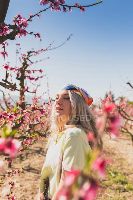 Mujer rodeada de flores frescas que crecen en ramas de árboles en el jardín mirando hacia otro lado - foto de stock