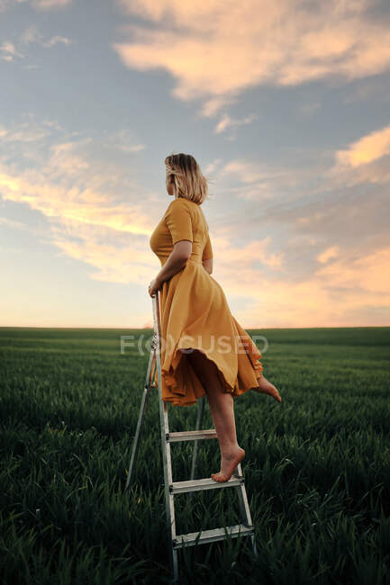 Ganzkörper-Seitenansicht von nicht wiederzuerkennenden barfüßigen Frauen im Vintage-Kleid, die auf einer Leiter im grünen Grasfeld vor wolkenverhangenem Sonnenuntergang stehen und wegschauen als Konzept von Traum und Freiheit — Stockfoto