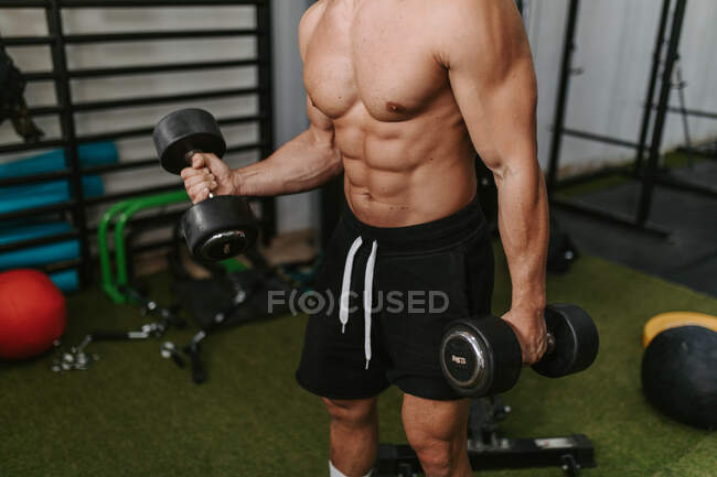 Entrenador masculino joven muscular irreconocible recortado con torso desnudo levantando pesadas mancuernas mientras entrenaba en el gimnasio - foto de stock