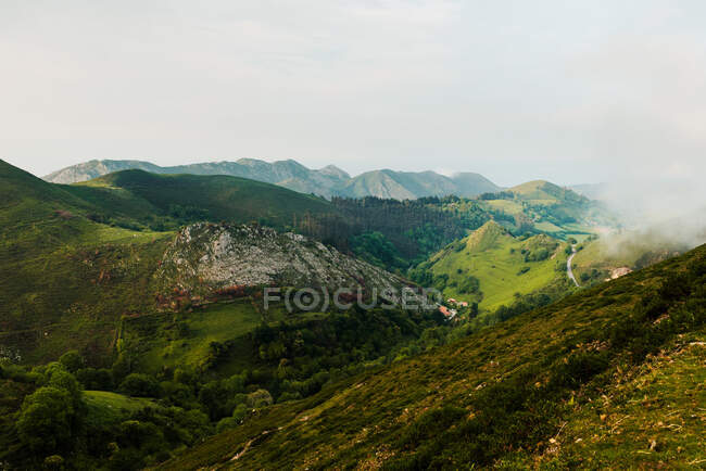 Montanhas verdes cobertas de grama e árvores contra o céu nublado durante o dia no campo — Fotografia de Stock