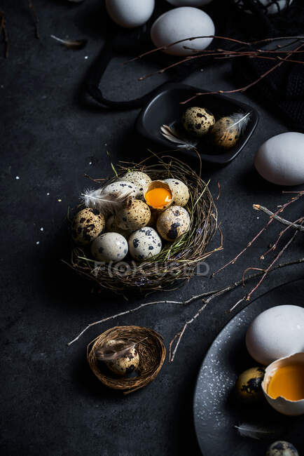 From above composition of raw chicken eggs on plates and quail eggs in nest on black background — Stock Photo