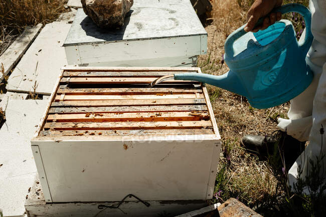 Vue latérale du travailleur apicole anonyme avec arrosoir versant du liquide dans une boîte à ruche en bois — Photo de stock