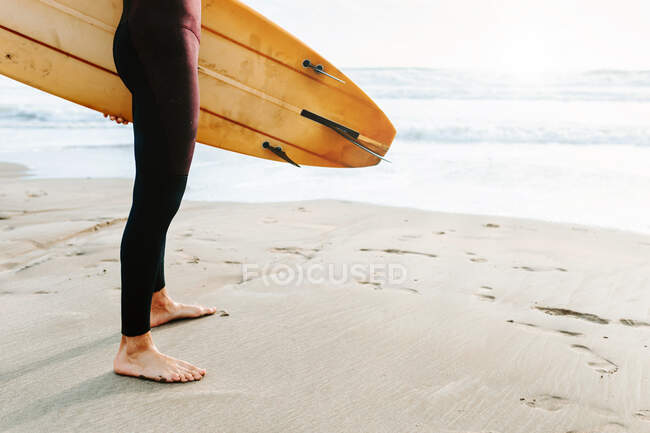 Cropped anonymous surfer man dressed in wetsuit standing with surfboard on the beach during sunrise — Stock Photo