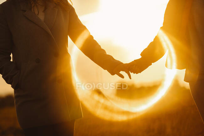 Faceless girlfriends holding hands gently standing in lens flare of sunset light in nature — Stock Photo