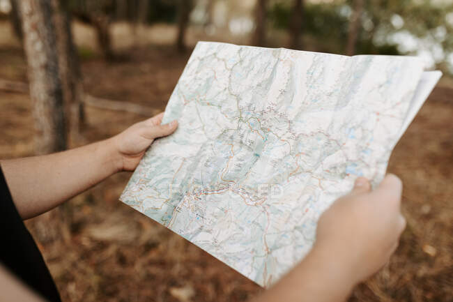 Viajero irreconocible recortado mirando a un mapa en el bosque - foto de stock