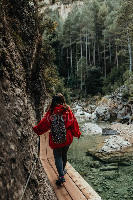 Vista posteriore del giovane turista con zaino che cammina sulla passerella sopra l'acqua vicino al muro di pietra tra la foresta — Foto stock