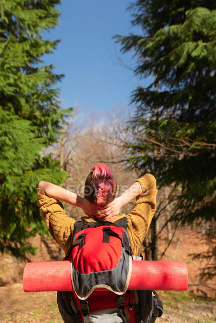Vista posteriore di donna viaggiatore felice irriconoscibile con zaino in piedi in boschi verdi con le mani dietro la testa — Foto stock