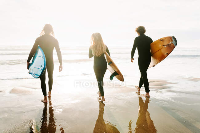Visão traseira do grupo irreconhecível de amigos surfistas vestidos com fatos de mergulho andando com pranchas de surf em direção à água para pegar uma onda na praia durante o nascer do sol — Fotografia de Stock