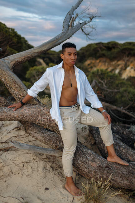 Tranquilo hombre afroamericano en ropa elegante de moda sentado en el tronco del árbol en la naturaleza al atardecer - foto de stock