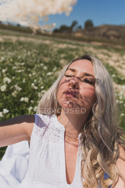 High angle of female with closed eyes holding branch of plant while enjoying sunny day in countryside — Stock Photo