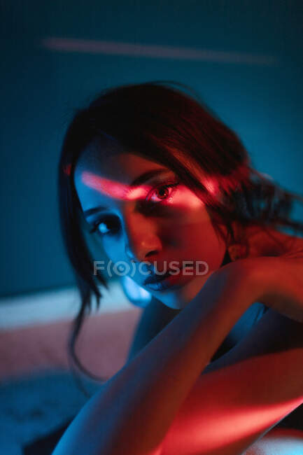 Tranquil young female model in dress sitting on floor and leaning on knee while looking at camera in dark studio with colorful lights — Stock Photo
