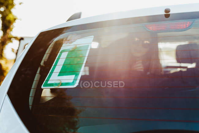 Mujer en gafas de sol sentado en el coche y el signo de fijación de marcha baja con ventosas en el cristal trasero del coche durante el viaje - foto de stock