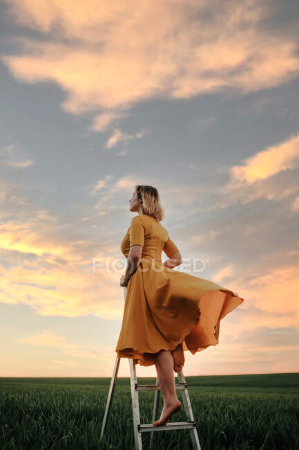 Full body side view of unrecognizable barefoot female in vintage style dress standing on ladder in green grassy field against cloudy sunset sky and looking away as concept of dream and freedom — Stock Photo