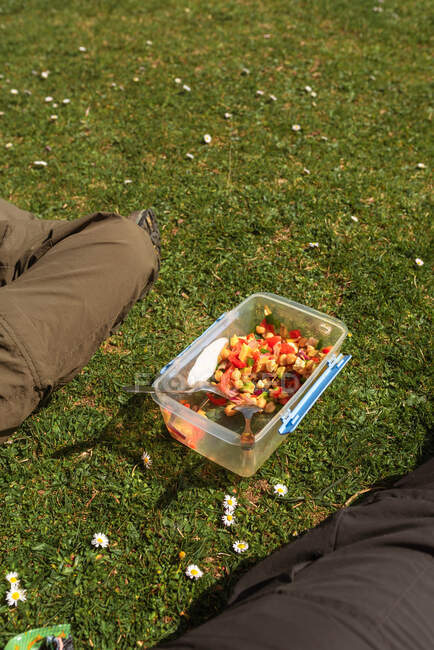 Unrecognizable crop traveler sitting on meadow and having lunch during summer adventure on sunny day — Stock Photo