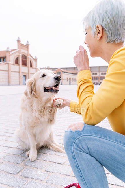 Side view of blond female holding paw of purebred dog while looking at each other on urban pavement — Stock Photo