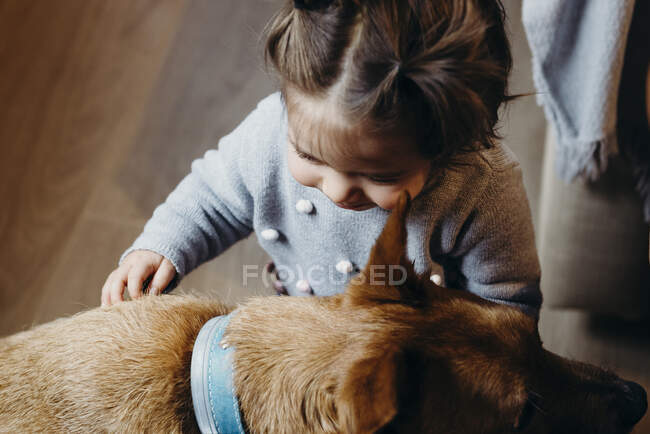 De cima de bonito curioso criança menina acariciando cão leal com trela em casa — Fotografia de Stock
