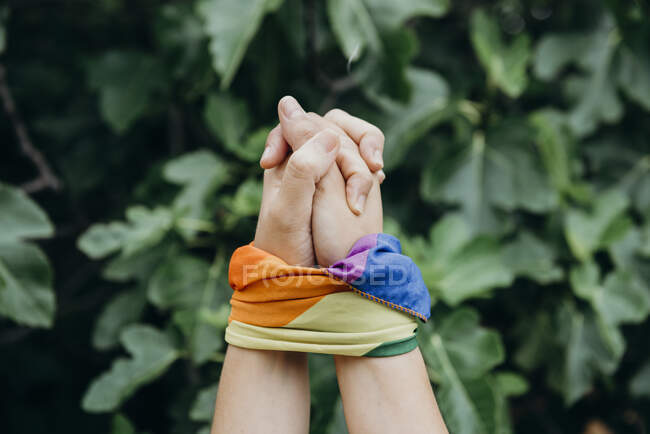 Petites amies anonymes tenant le drapeau LGBT dans des mains jointes contre la brousse en été dans le parc — Photo de stock